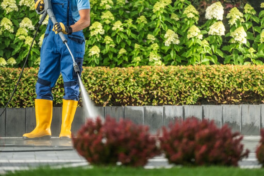 A man in blue overalls spraying water on some bushes.